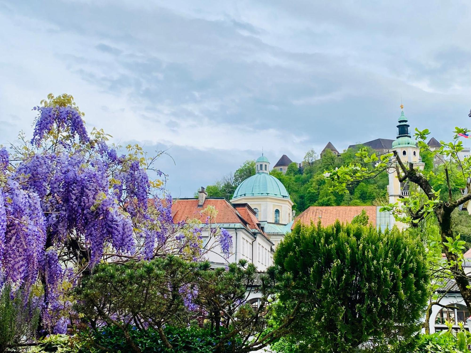 Serenity Maison d'hôtes Ljubljana