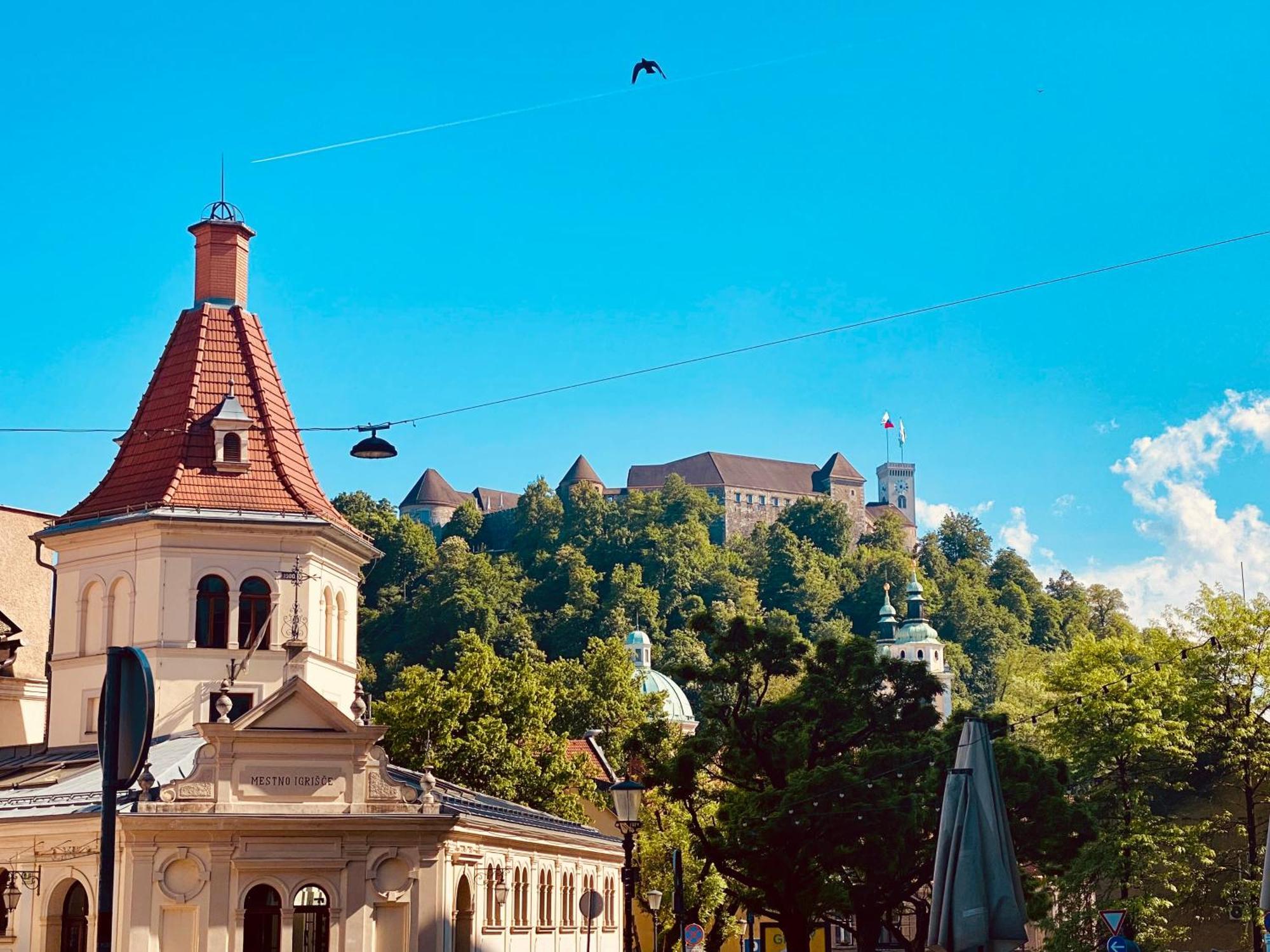 Hiša za goste Serenity Ljubljana